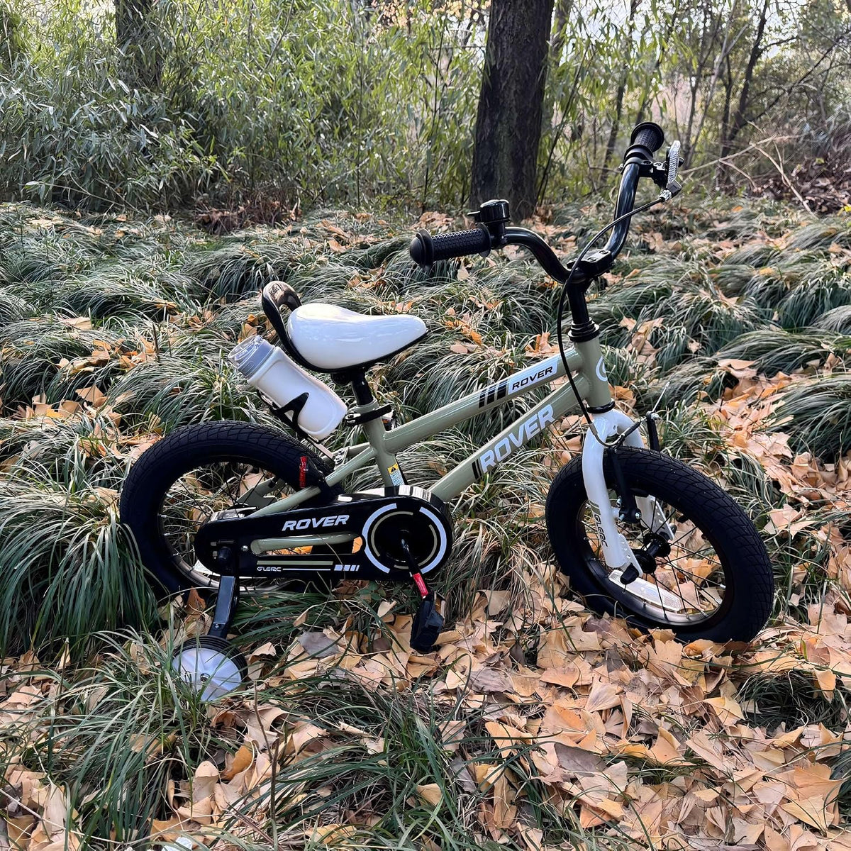 Rover Kids Bike