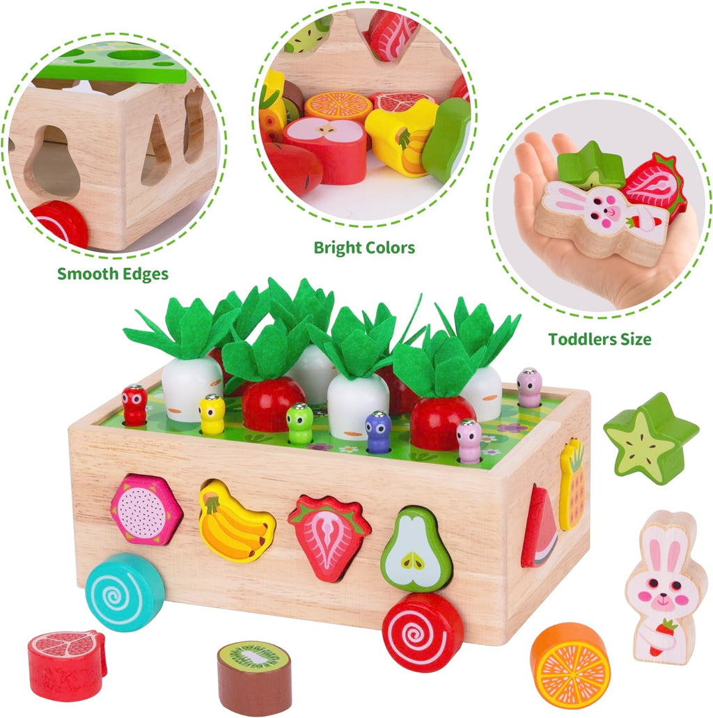 Montessori Wooden Educational Shape Sorting Toys, Ages 1-3