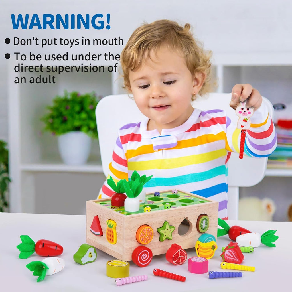 Montessori Wooden Educational Shape Sorting Toys, Ages 1-3