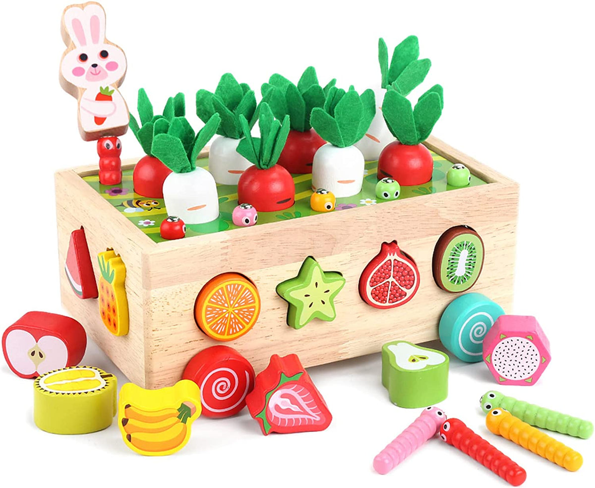 Montessori Wooden Educational Shape Sorting Toys, Ages 1-3