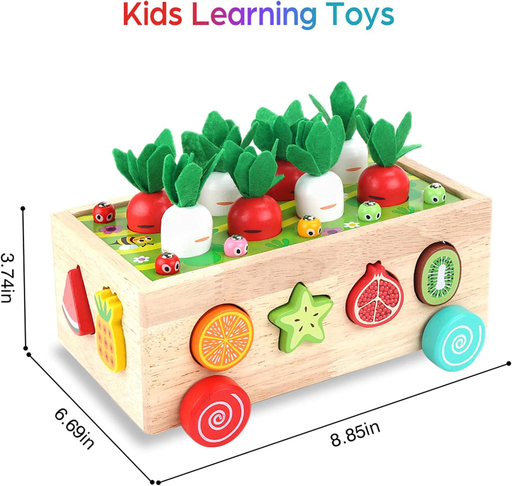 Montessori Wooden Educational Shape Sorting Toys, Ages 1-3