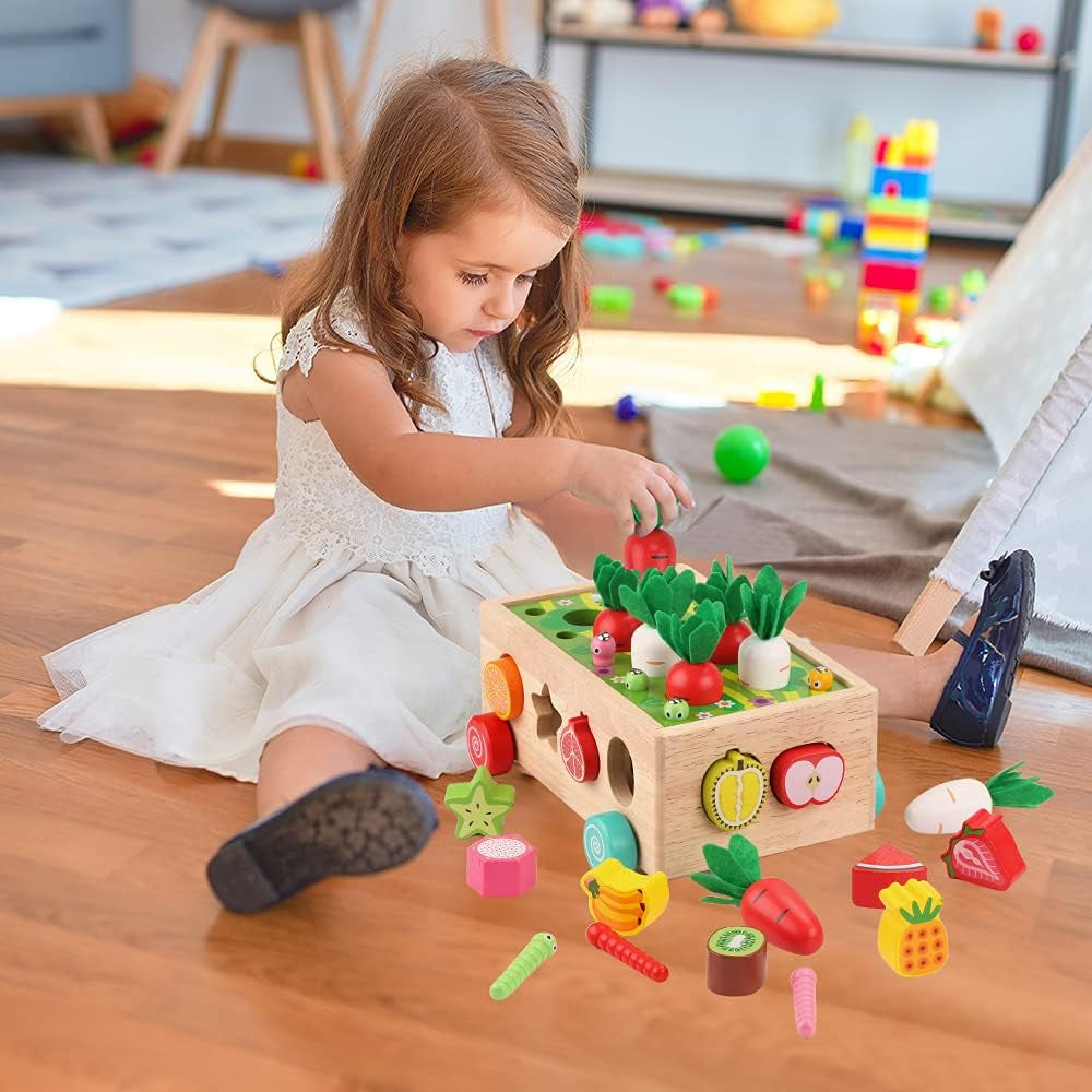 Montessori Wooden Educational Shape Sorting Toys, Ages 1-3