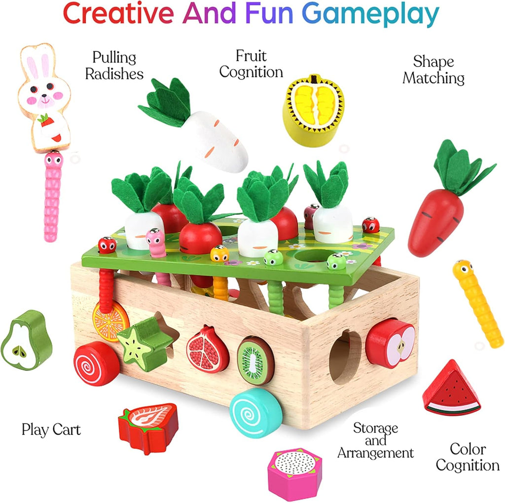 Montessori Wooden Educational Shape Sorting Toys, Ages 1-3